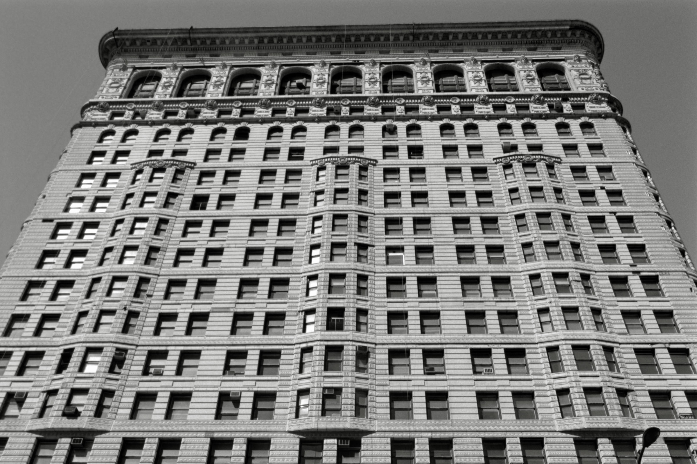 AHP F1995 04 009 sc240817 img11 NLP